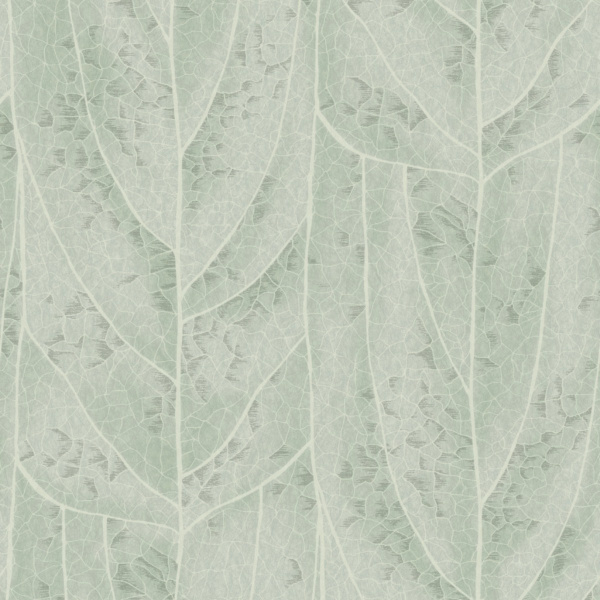 Обои York Candice Olson Natural Discovery NT6141 изображение 1