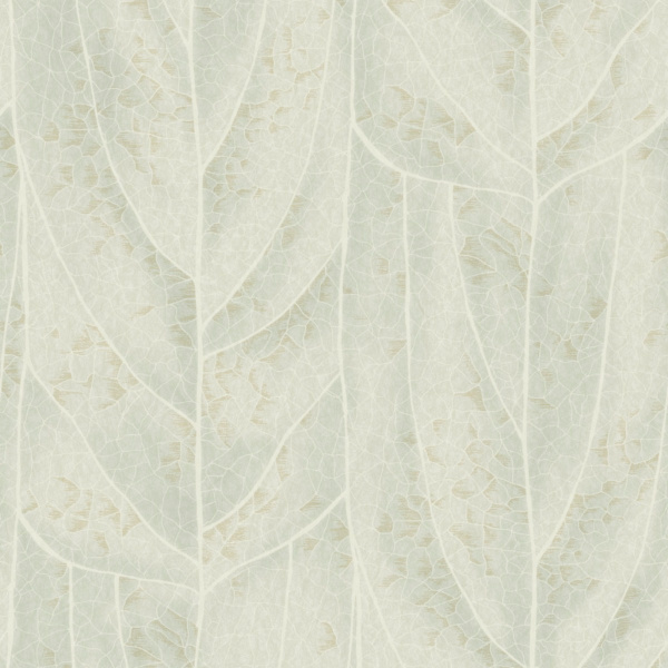 Обои York Candice Olson Natural Discovery NT6142 изображение 1