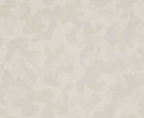 Обои Fipar Meteora R24122 изображение 1