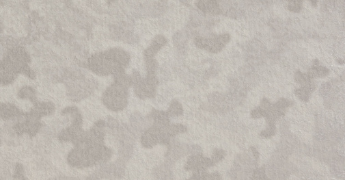 Обои Fipar Meteora R24124 изображение 1