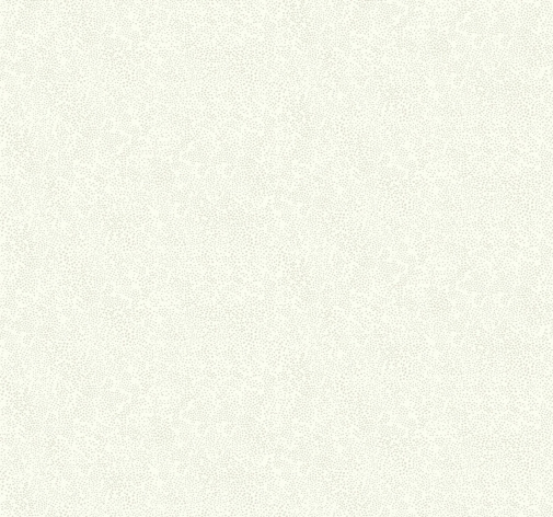 Обои York Rifle Paper Co RI5115 изображение 1