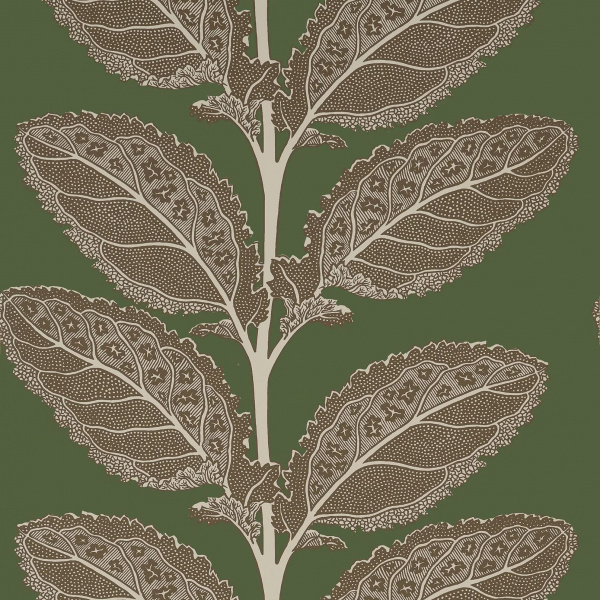 Обои Thibaut Vista T12040 изображение 1