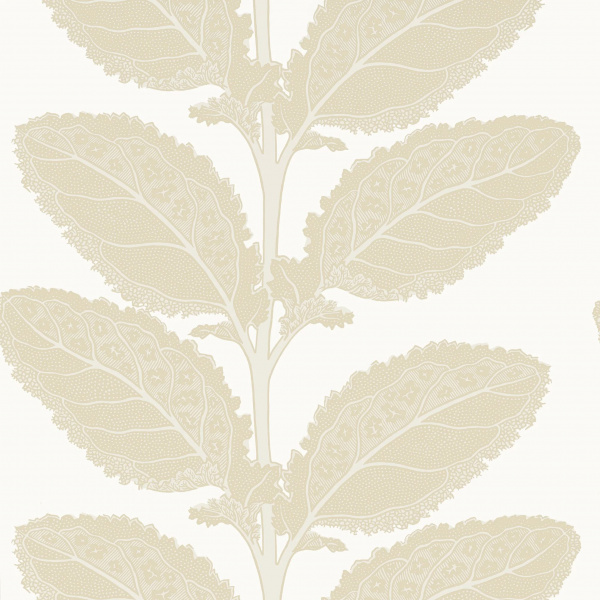 Обои Thibaut Vista T12041 изображение 1