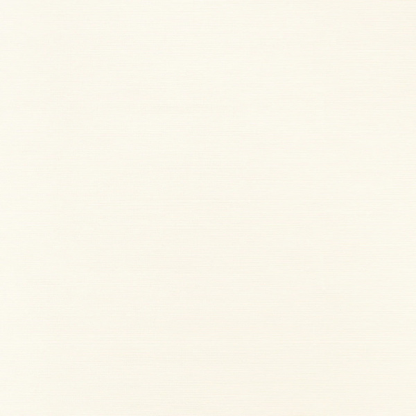 Обои Thibaut Texture Resource 9 T34042 изображение 1