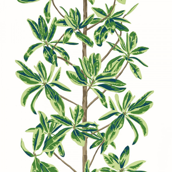 Обои Thibaut Wanderlust T45035 изображение 1