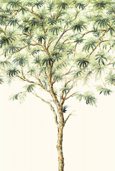 Обои Wallquest Trees TR71504M изображение 1