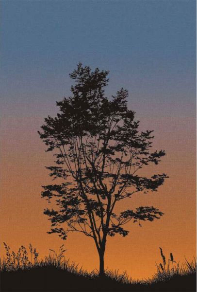 Обои Wallquest Trees TR71905M изображение 1