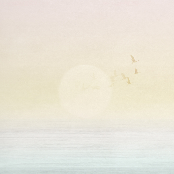 Обои Ich Panorama 2 V170-1 изображение 1