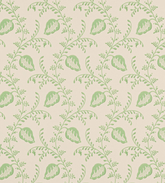 Обои Colefax and Fowler Small Design Wallpapers II W7009-04 изображение 1