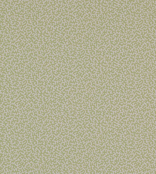 Обои Colefax and Fowler Small Design Wallpapers II W7014-03 изображение 1