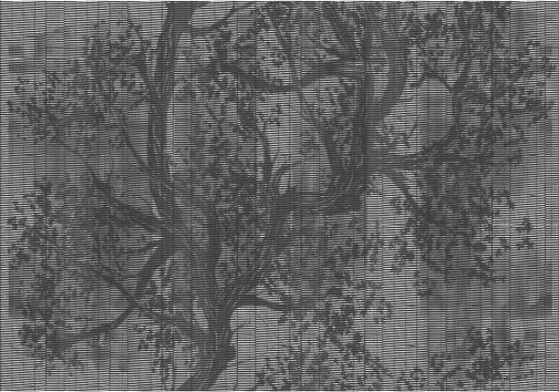 Обои Wall&Deco OUT SYSTEM 2019 WP1901 изображение 1