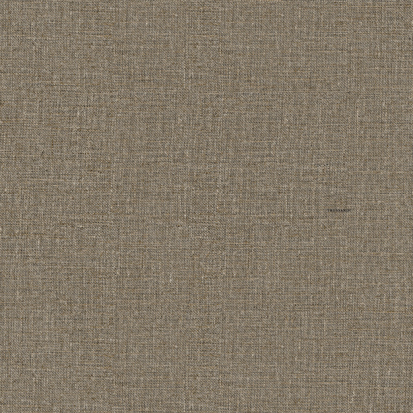 Обои Zambaiti Parati Trussardi 9 Z10145 изображение 1