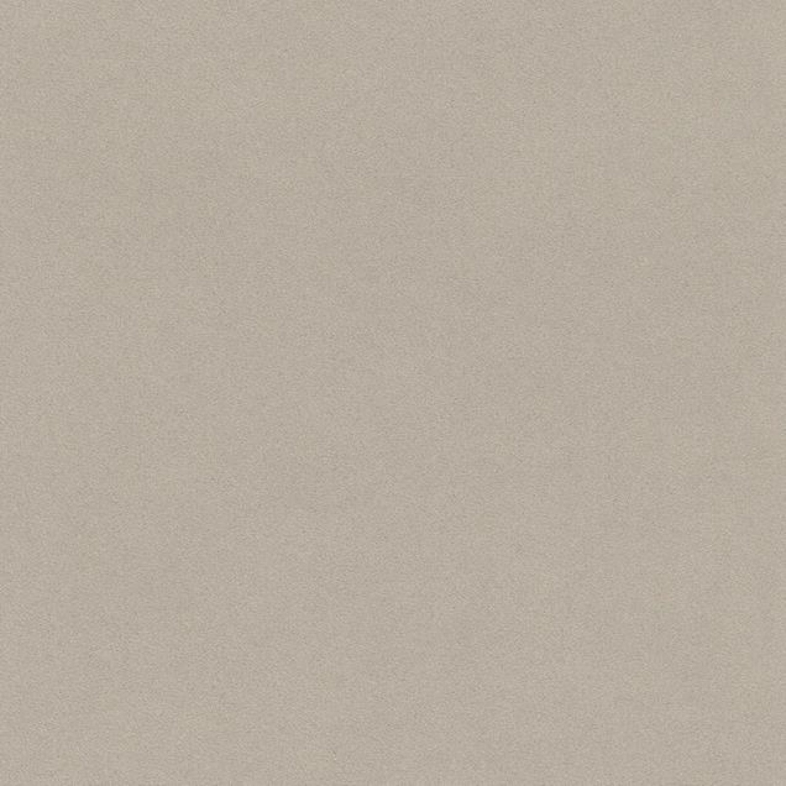 Обои Rasch Passepartout 607284