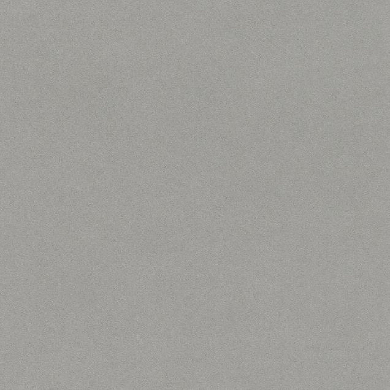 Обои Rasch Passepartout 607253