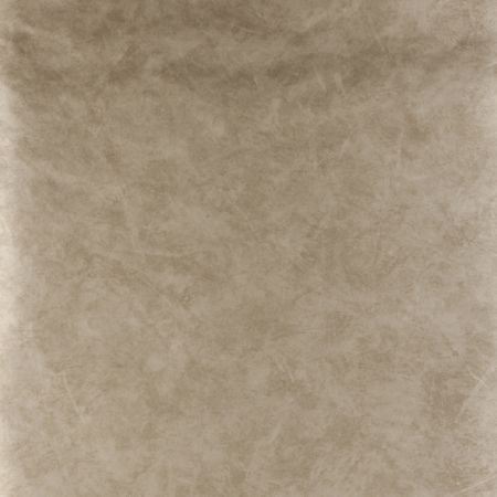 Обои Clarke & Clarke Floribunda W0035-01