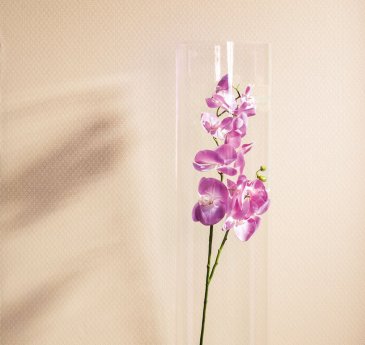 Обои Milassa Neo Classic Neo5-012 изображение 4