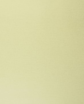 Обои Clarke & Clarke Showstoppers W0006-16