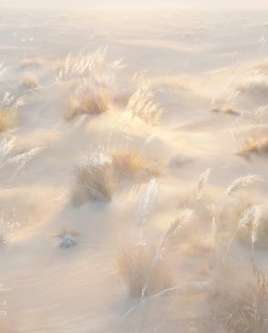 Фрески Applico Six 0085-A изображение 0