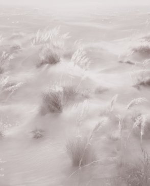 Фрески Applico Six 0085-B изображение 0