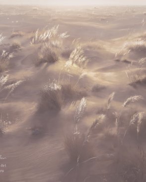 Фрески Applico Six 0085-Br1 изображение 0