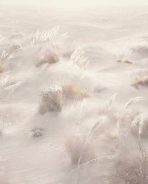 Фрески Applico Six 0085-S1 изображение 0