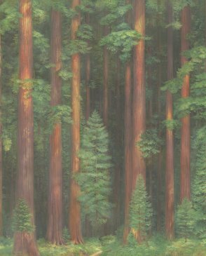 Фрески Applico Six 0087-A изображение 0