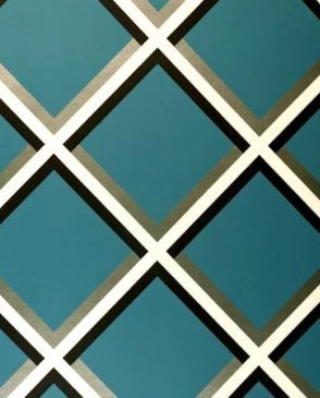 Обои Clarke & Clarke Showstoppers W0018-06