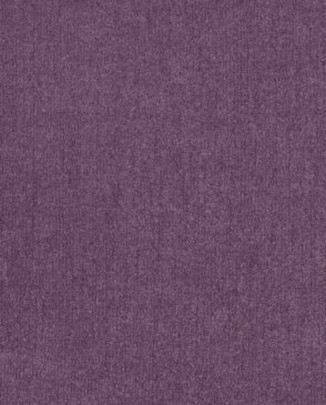Обои однотонные фиолетовые Tatoo 55140 изображение 0