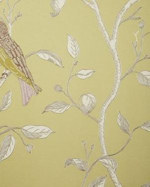 Обои Sanderson Options 10 Options 10 DOPWFI-102 изображение 0