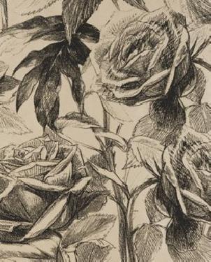 Обои Clarke & Clarke Floribunda W0037-01