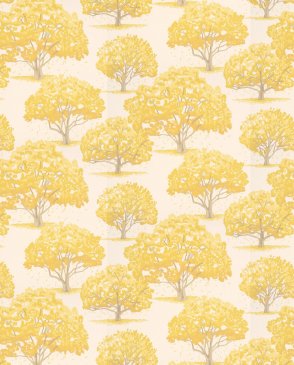 Обои Little Greene In the Garden 0234MBINDIA изображение 0