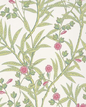 Обои Little Greene National Trust Papers 4 National Trust Papers 4 0267BAMISCH изображение 0