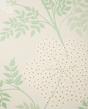 Обои Sanderson Options 10 Options 10 DOPWCO-104 изображение 0