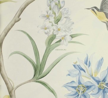 Обои Sanderson Curios 213389 изображение 5