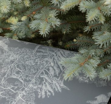 Обои Milassa Ambient vol.4 AM5-008 изображение 3