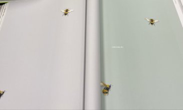 Обои Andrea Rossi Cavolli 54419-6 изображение 4