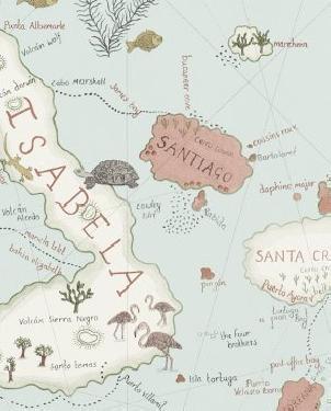 Обои Sanderson Voyage of Discovery Wallpapers Voyage of Discovery Wallpapers DVOY213364 изображение 0