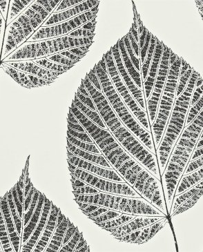 Обои Harlequin Momentum Volume 2 Momentum Volume 2 110373 изображение 0