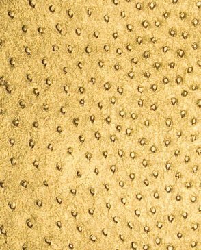 Обои Jannelli&Volpi JV301 UT109