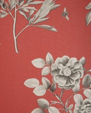 Обои Sanderson Parchment Flowers Parchment Flowers DPFWER101 изображение 0