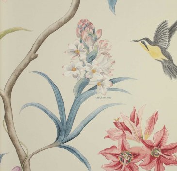 Обои Sanderson Curios 213387 изображение 6