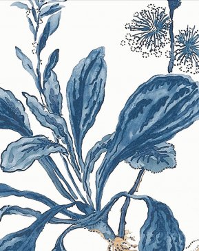 Обои Anna French Bristol AT57854 изображение 3