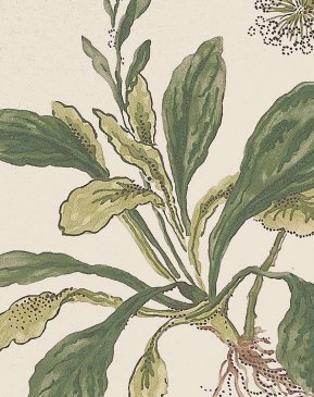 Обои Anna French Bristol AT57853 изображение 5