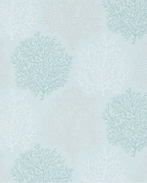 Обои Sanderson Voyage of Discovery Wallpapers Voyage of Discovery Wallpapers DVOY213394 изображение 0