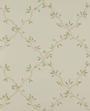 Обои Colefax and Fowler Small Design Wallpapers II 07706-02