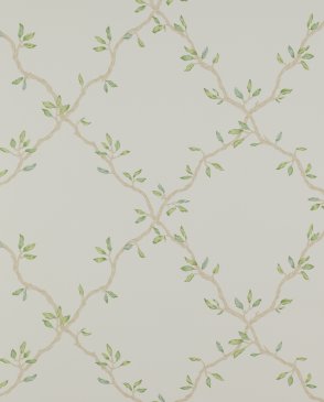 Обои Colefax and Fowler Small Design Wallpapers II 07706-03