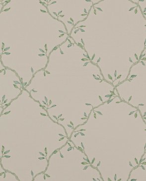 Обои Colefax and Fowler Small Design Wallpapers II 07706-04