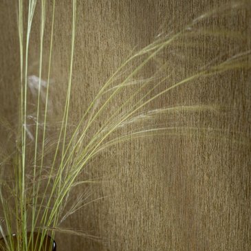 Обои Casamance Le Bois 74850406 изображение 3