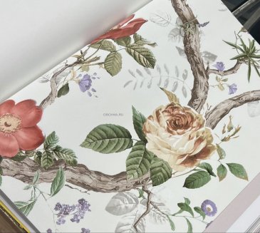 Обои Andrea Rossi Cavolli 54421-1 изображение 5