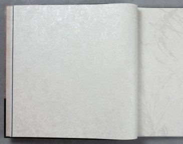 Обои A.S. Creation Sylvana 79126-3 изображение 2